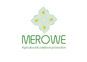 MEROWE